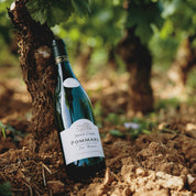 Domaine Denis Carre Pommard Les Noizons 2019 750ml