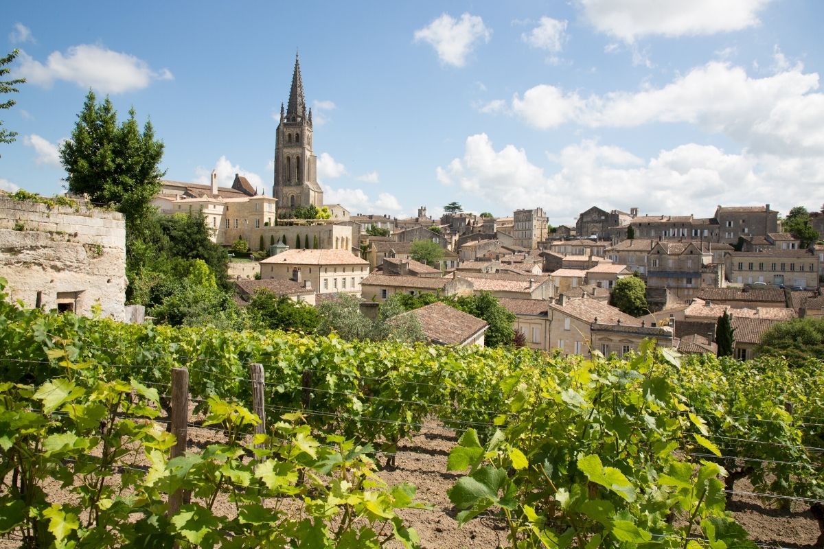 Bordeaux Wine Guide