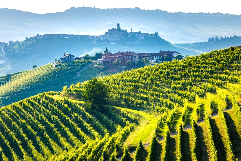 Tuscany Wine Guide