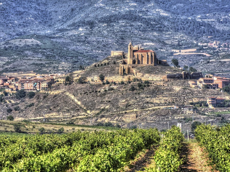 Rioja Wine Guide
