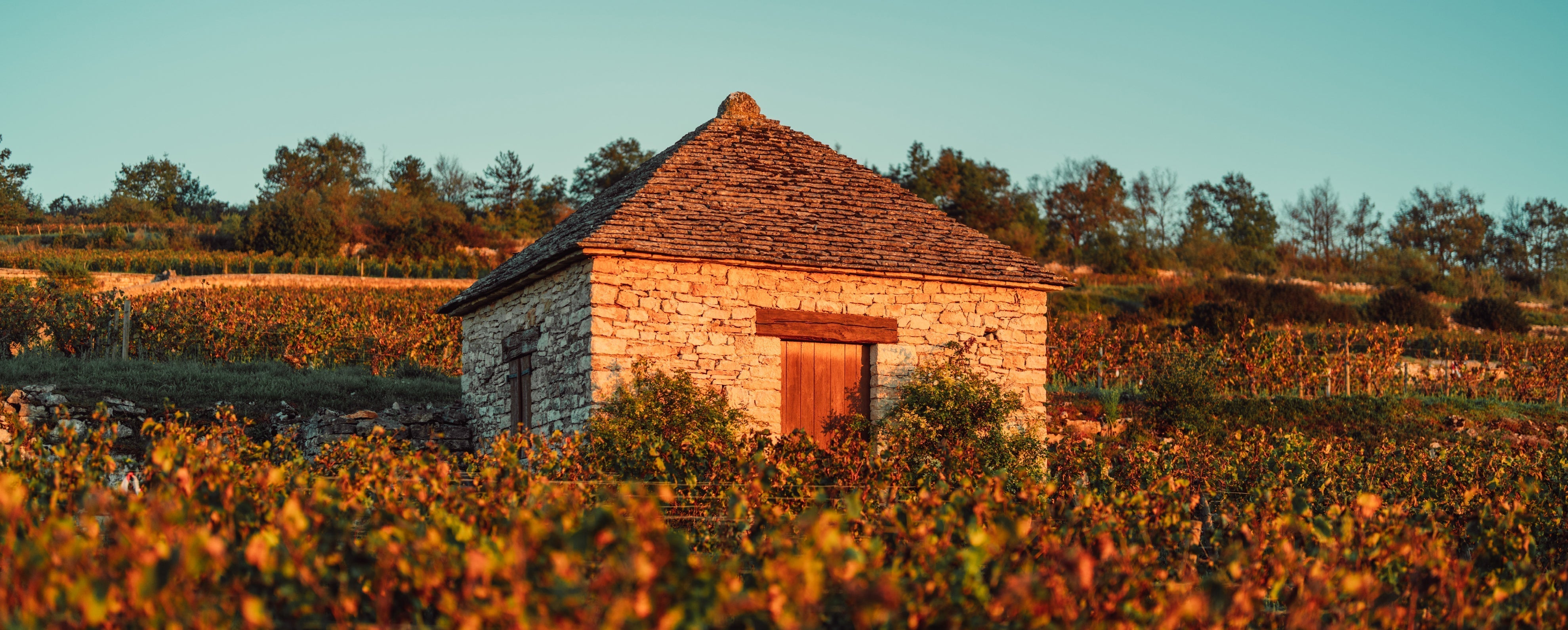 Vignobles des Cabottes Burgundy Wine Dinner