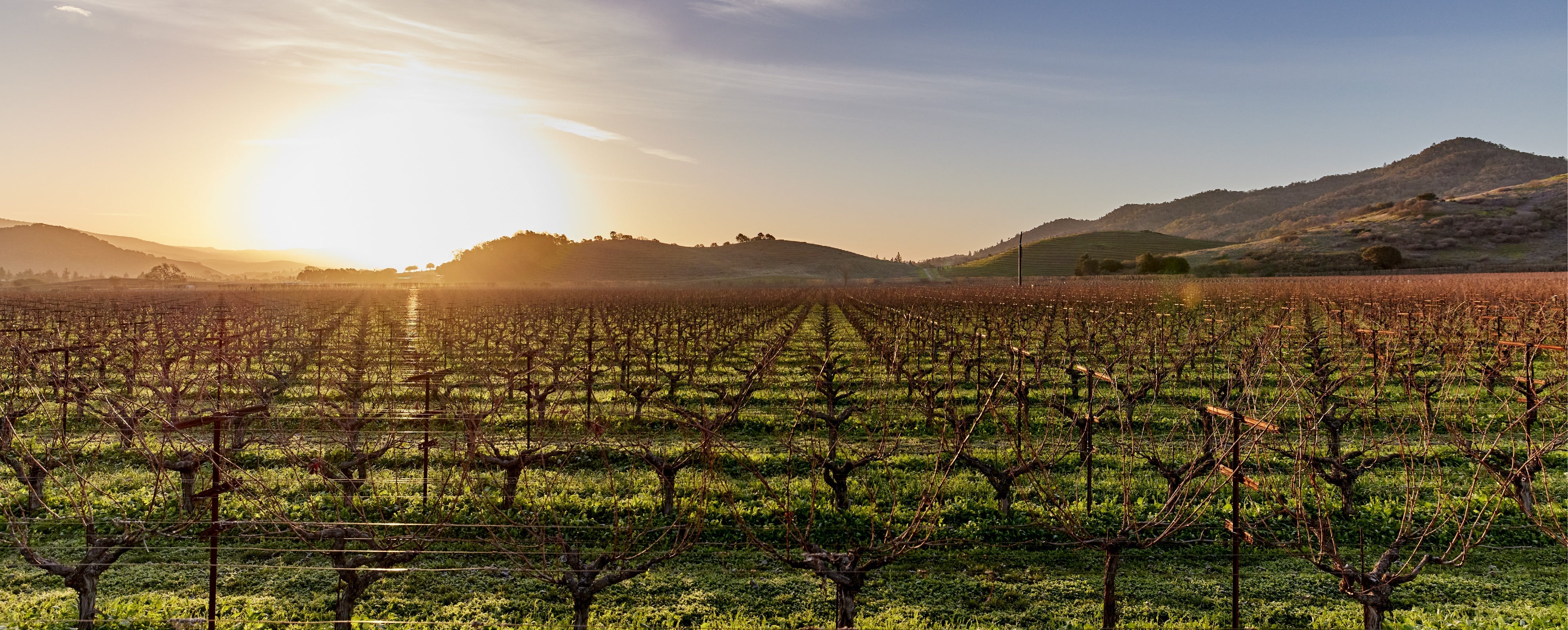 Dominus Napa Valley Wine Dinner