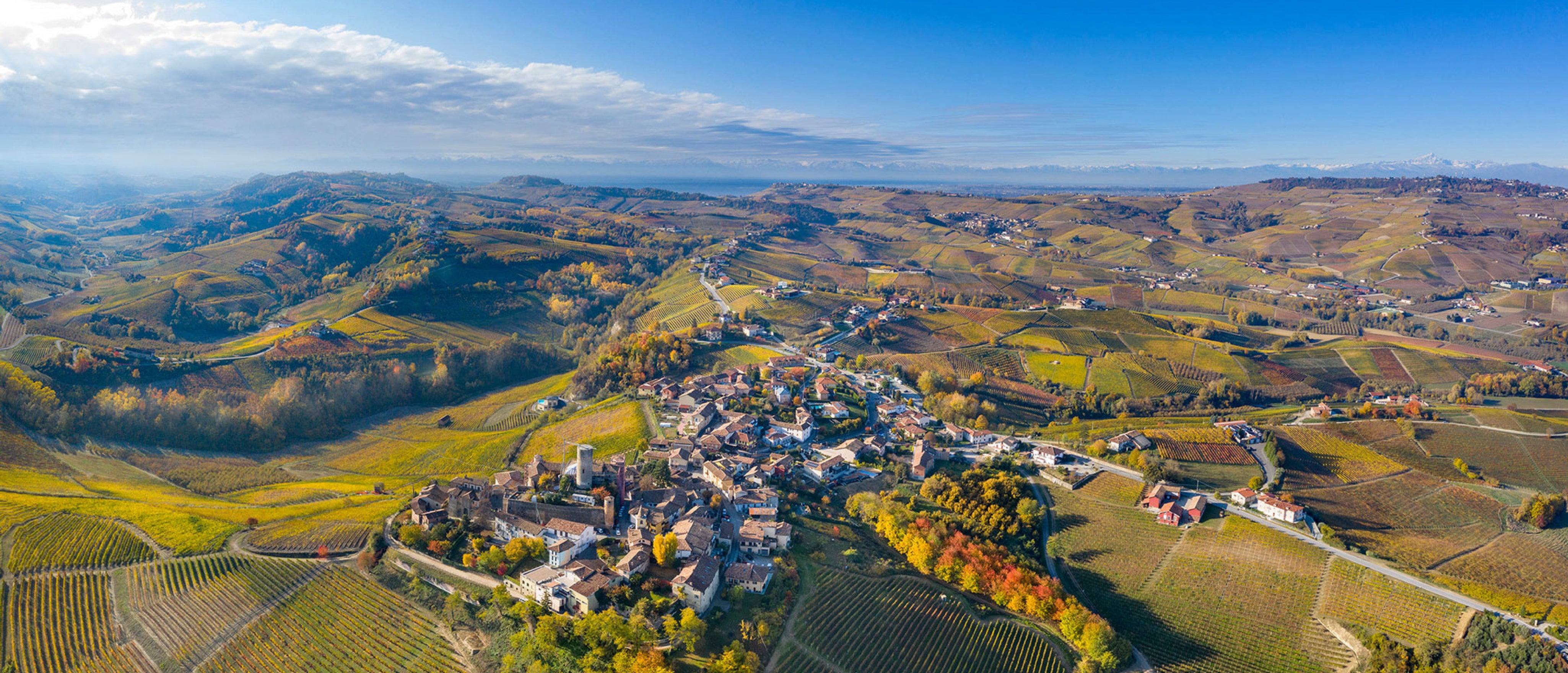An Italian Wine Dinner with Vietti
