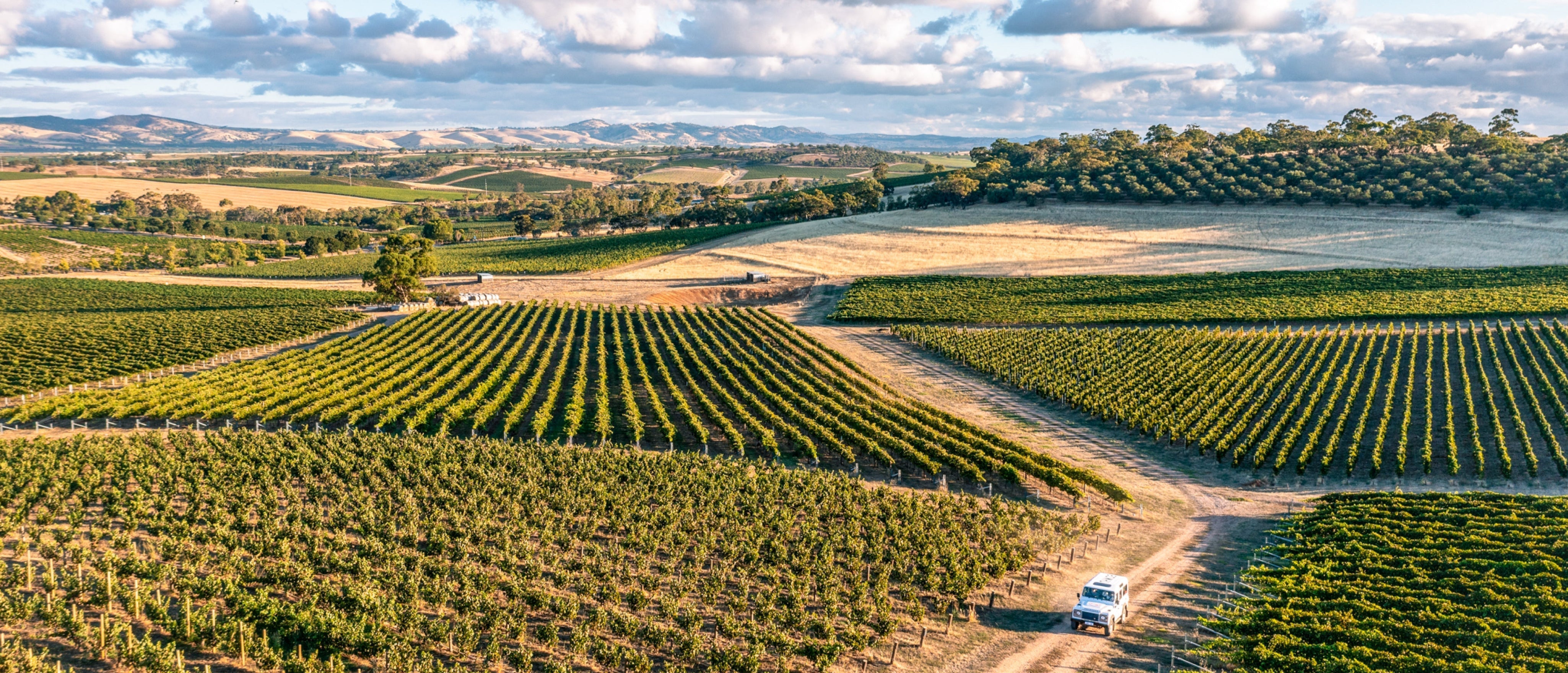 Two Hands & Barr-Eden Estate Wine Dinner