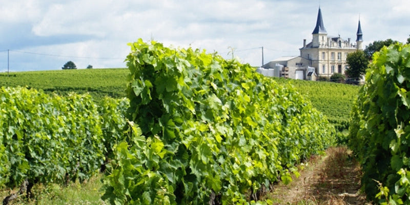 Margaux | Bordeaux Left Bank