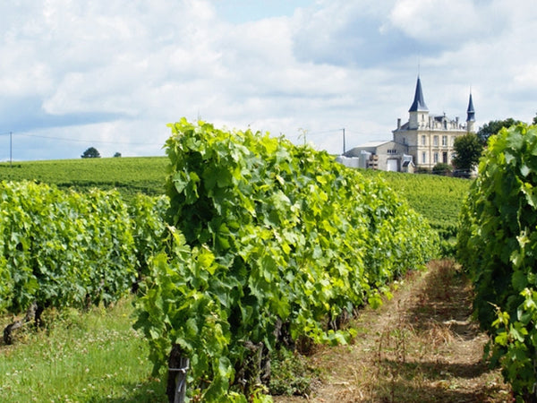 Margaux | Bordeaux Left Bank | France