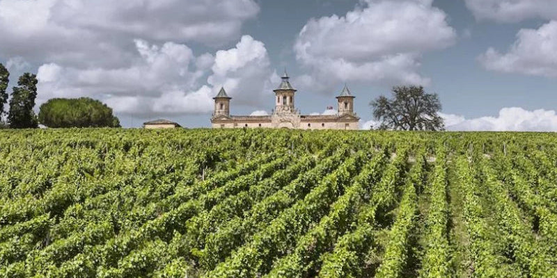 Medoc | Bordeaux Left Bank