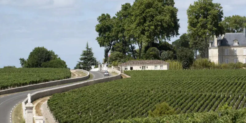 Pauillac | Bordeaux Left Bank