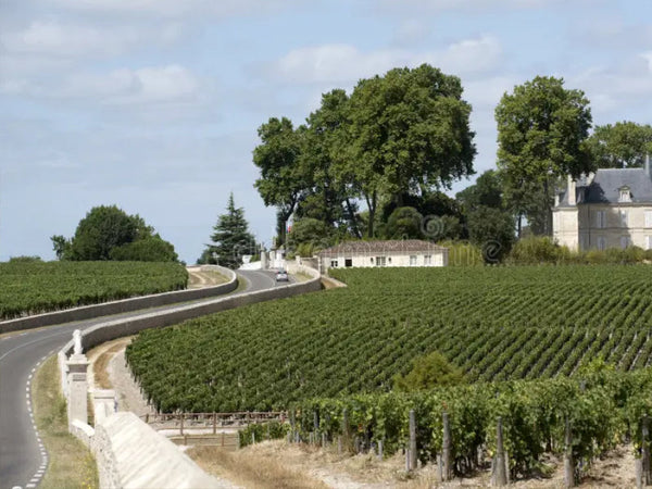 Pauillac | Bordeaux Left Bank | France