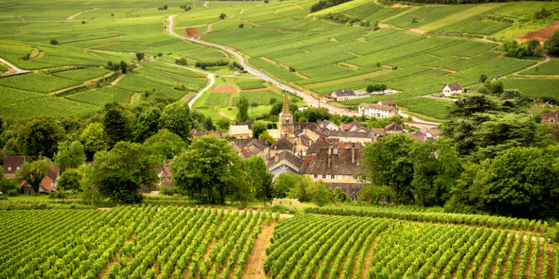 Chablis | Burgundy Wine