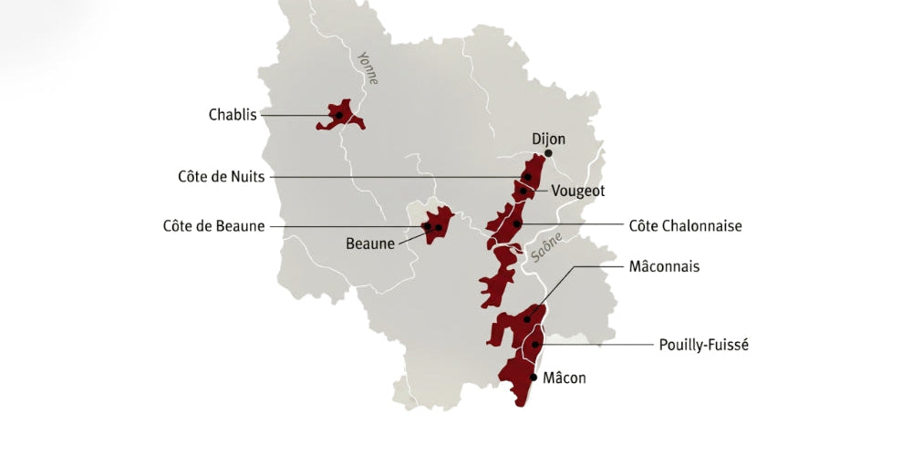 Chablis | Burgundy Wine