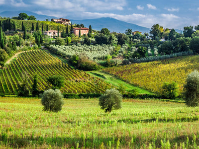 Tuscany | Italy