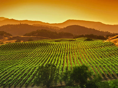 California | USA