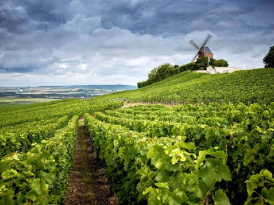Champagne | France
