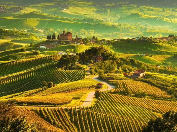 Piedmont | Italy