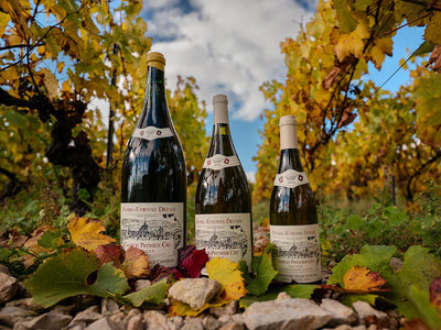 Domaine Daniel-Etienne Defaix
