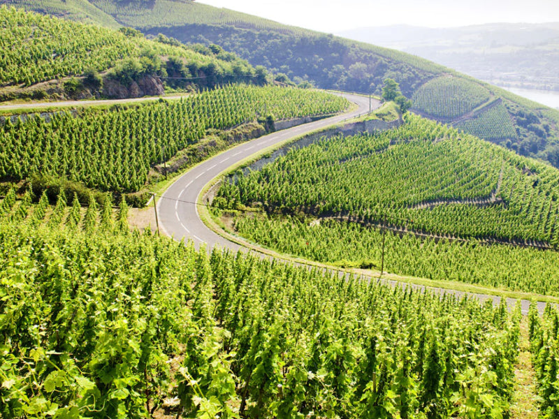 Rhone Valley | France