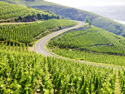 Rhone Valley | France