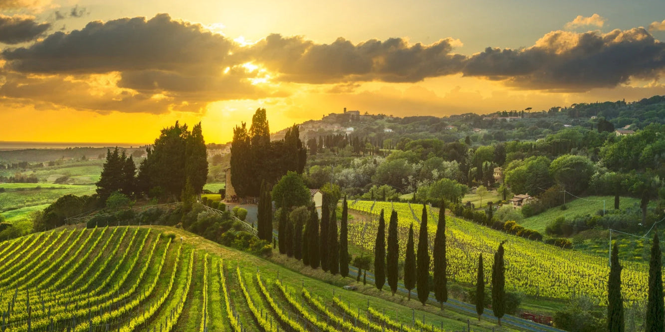 Tuscany | Maremma