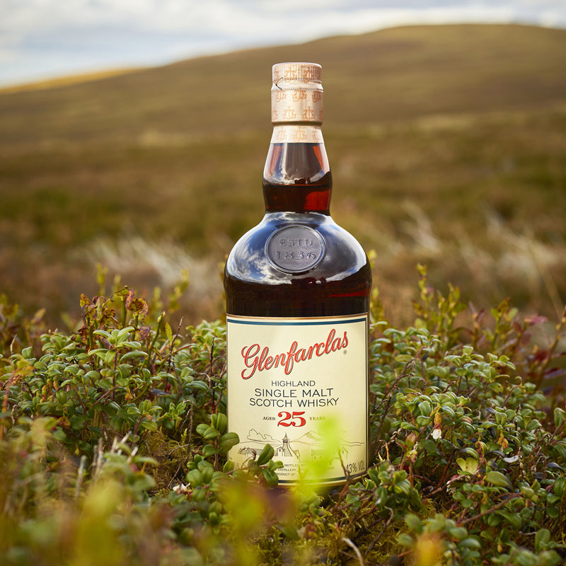 Buy Glenfarclas Single Malt Highland Whisky 25Yrs 700ml | 1855 The