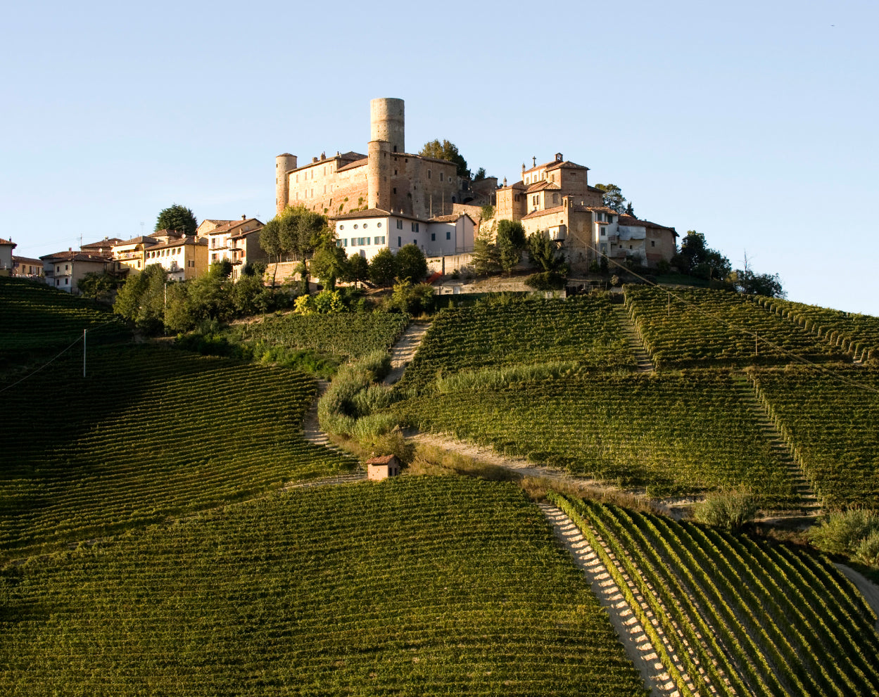 A scenic landscape photograph of a hillside village with a castle and terraced vineyards under a clear blue sky.