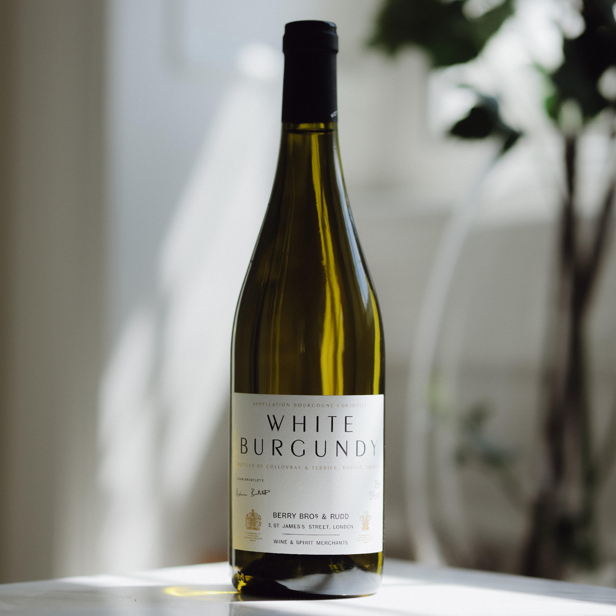A bottle of Berry Brook & Rudo White Burgundy wine stands on a light surface with a softly blurred indoor background featuring warm sunlight and greenery.