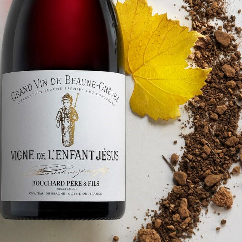 Bouchard Pere Fils Vigne de L'Enfant Jesus 