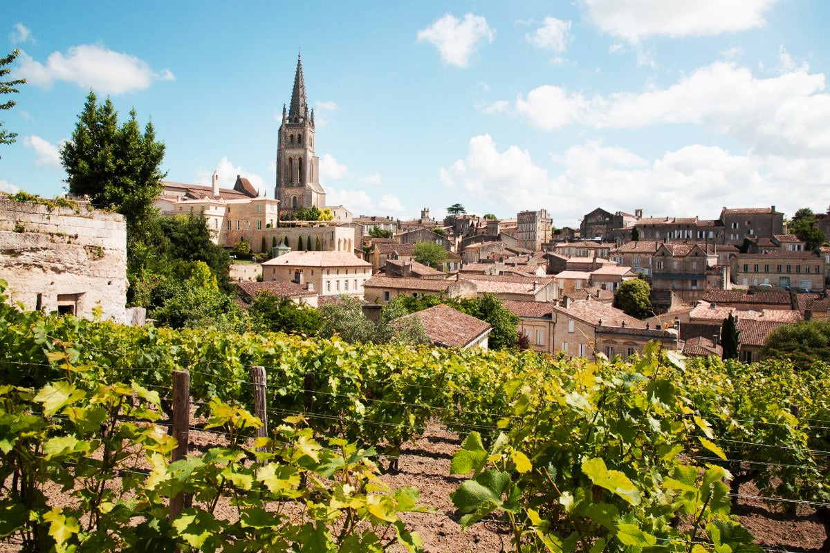 Bordeaux wine region