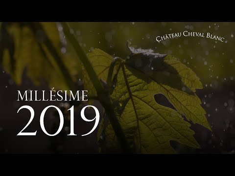 Chateau Cheval Blanc St-Emilion Grand Cru 2019 750ml