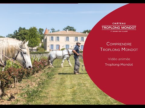 Chateau Troplong Mondot St-Emilion 2002 750ml