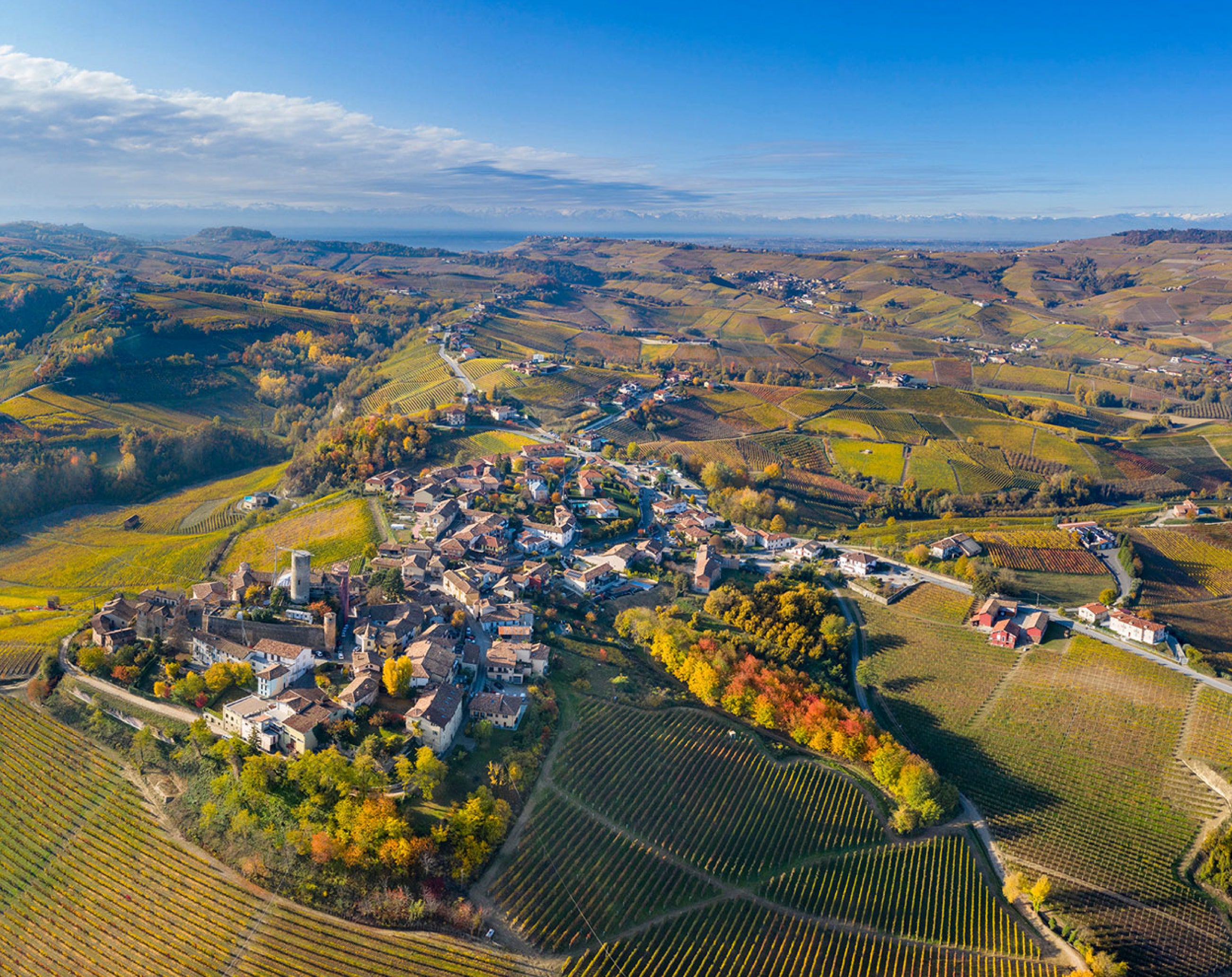 website_vietti-02.jpg