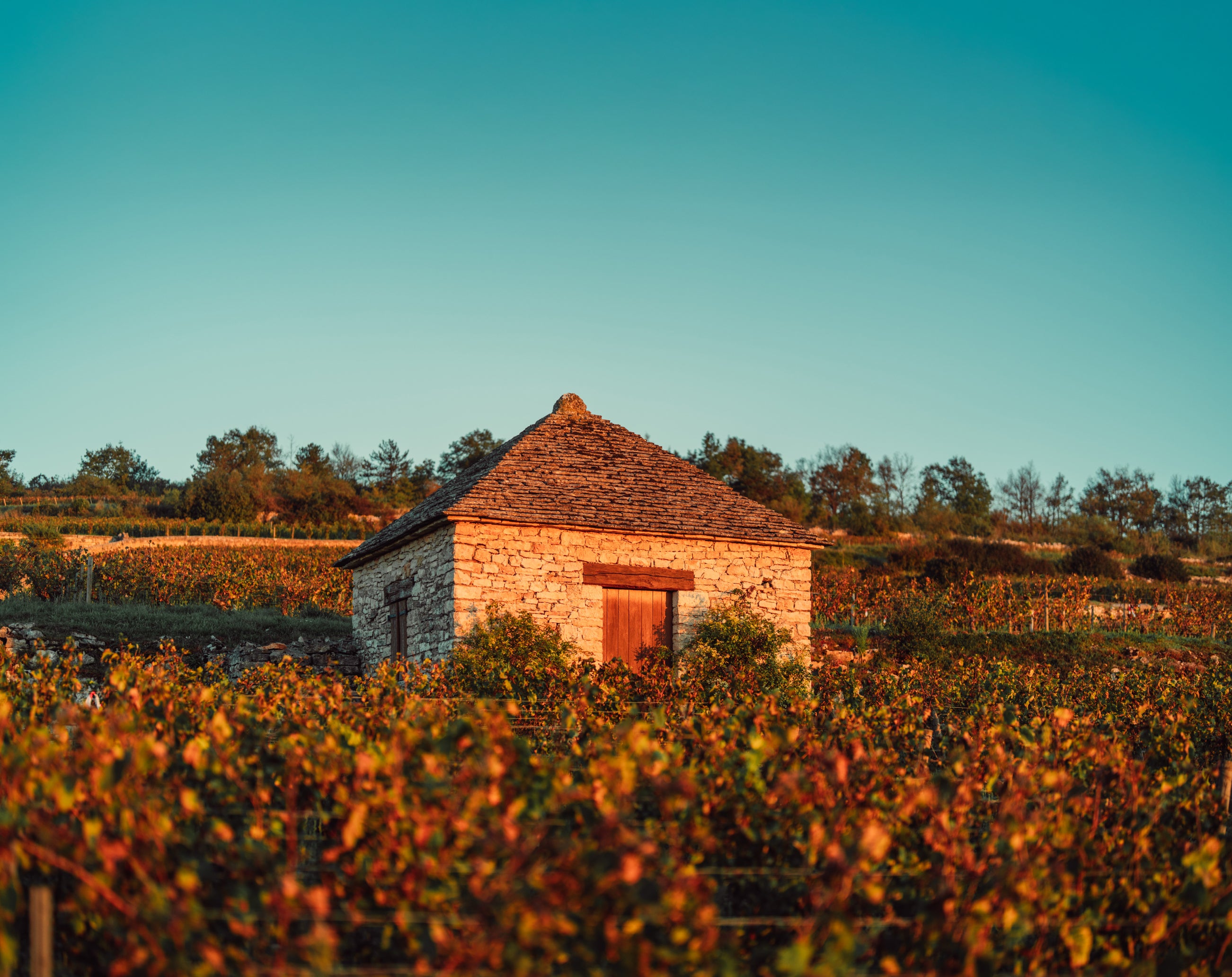 Vignobles des Cabottes Burgundy Wine Dinner