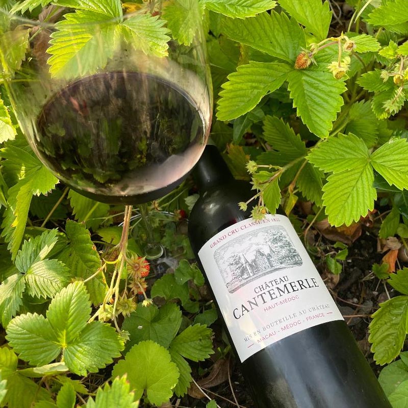 Chateau Cantemerle Haut-Medoc 2017 750ml